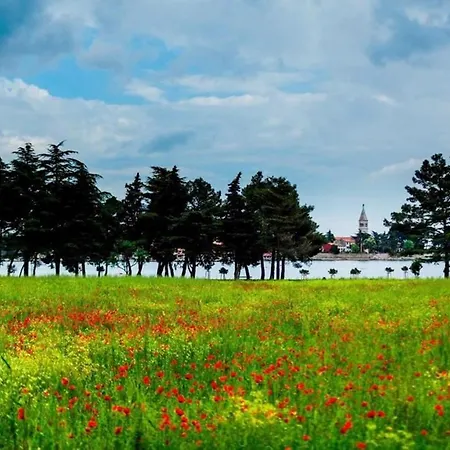 In Umag/istrien 35127 公寓 乌马格